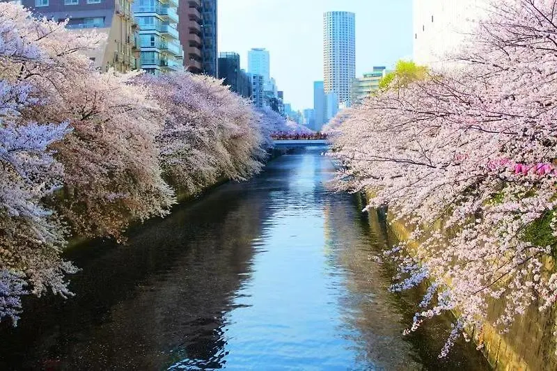Meguro House Close To Meguro River Apartment Tokyo 0*,
