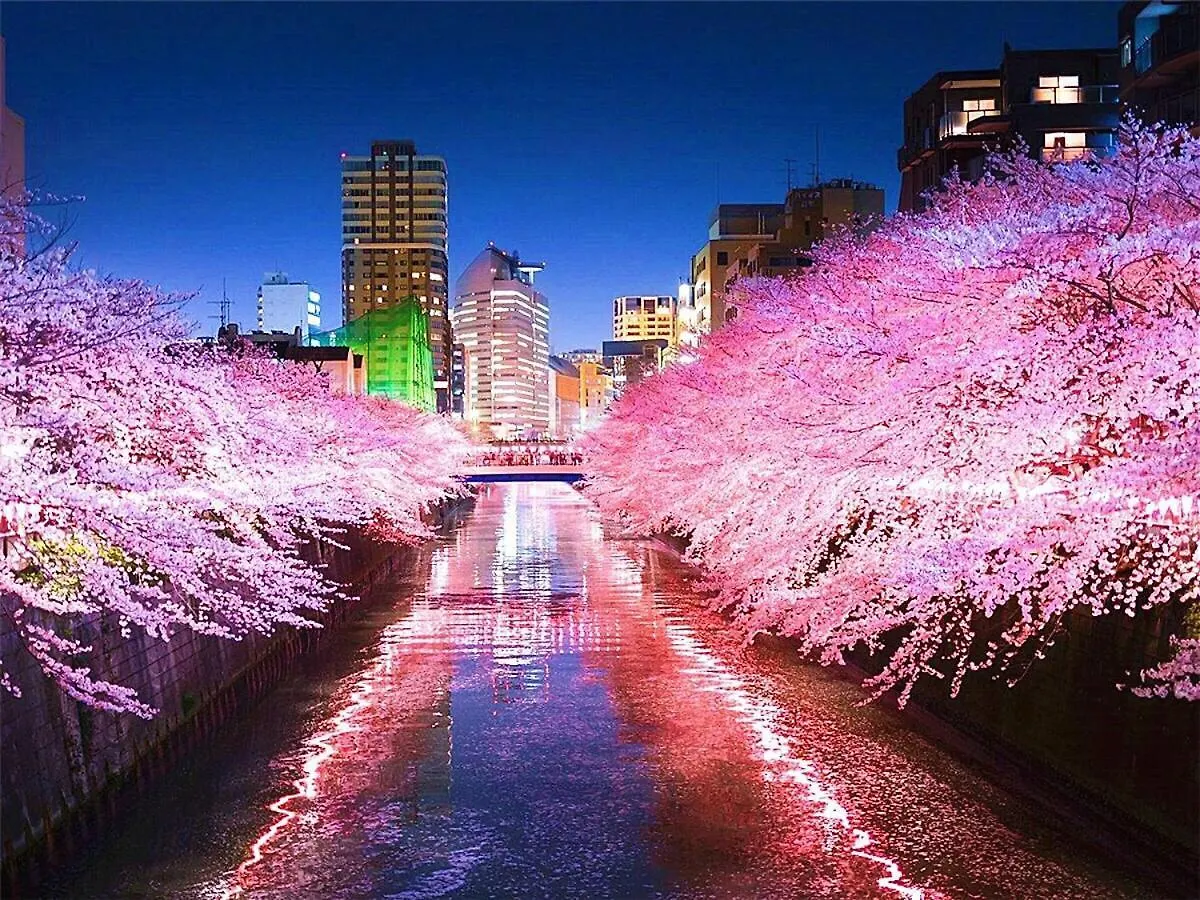 Meguro House Close To Meguro River Apartment Tokyo 0*,  Japan